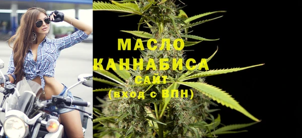 крисы Корсаков