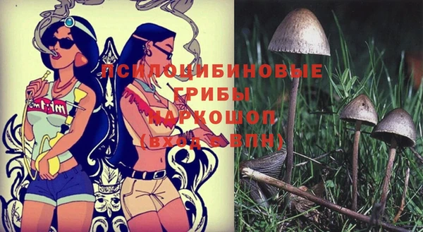 метамфетамин Алексеевка