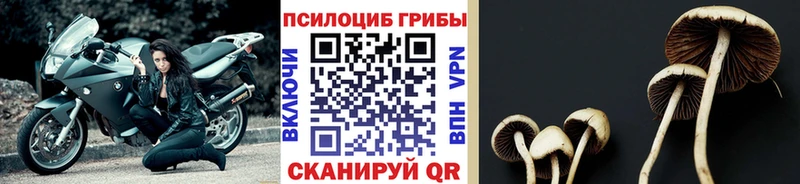 Псилоцибиновые грибы ЛСД  купить   Тарко-Сале 